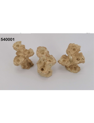 AQUAROCHE - Zoa Garden Rock Nano - 9 cm - 3 Plugues