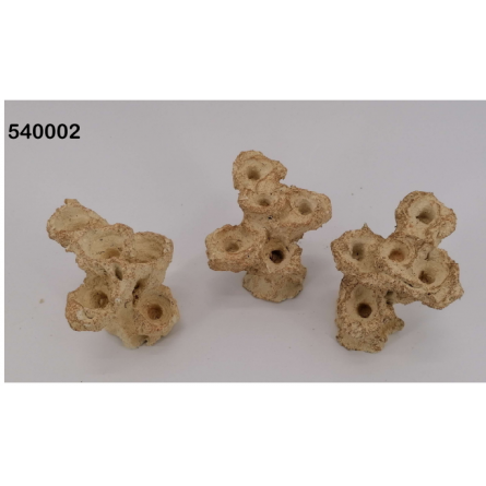 AQUAROCHE - Zoa Garden Rock Mini - 12 cm - 5 tapones AQUAROCHE - Zoa Garden Rock Mini - 12 cm - 5 tapones