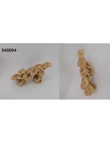 AQUAROCHE - Nagnjen pladenj Zoa Garden Rock - 36 cm - 14 čepov