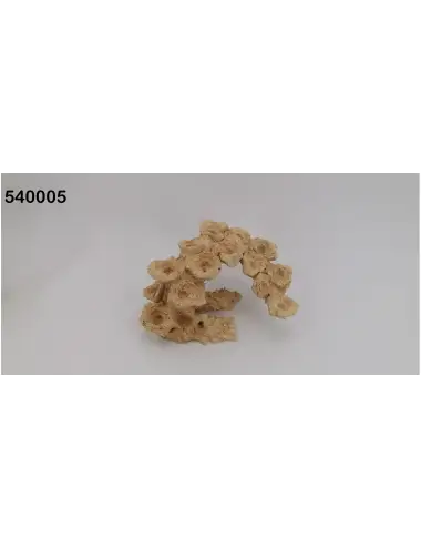 AQUAROCHE - Arco Curvo Zoa...