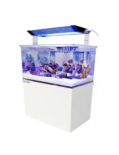 AQUA MEDIC - Armatus XS - 8 litres - Micro aquarium tout-en-un