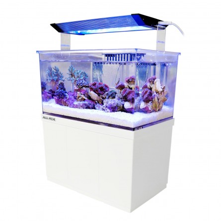 AQUA MEDIC - Armatus XS - 8 liters - All-in-one micro aquarium