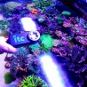 ITC Reef Culture - PARwise - PAR meter for Aquarium