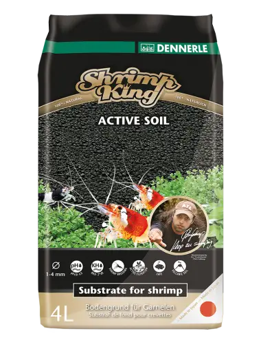 DENNERLE - Shrimp King...