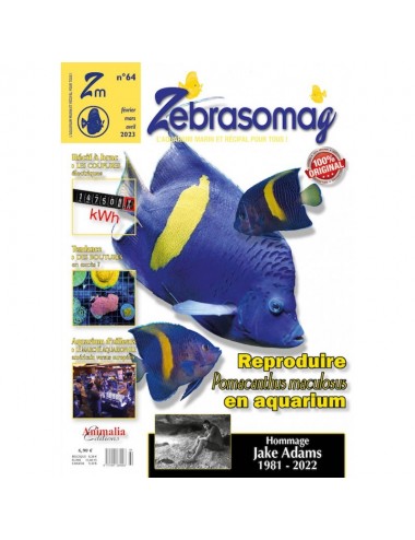 ANIMALIA EDITIONS – ZebrasO'mag Nr. 64