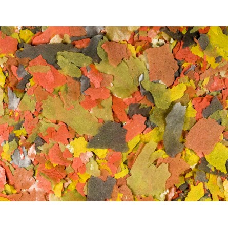 Nourriture En Flocons Pour Poisson - MAXI ZOO