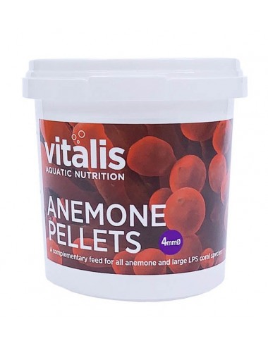 VITALIS - Anemoonkorrels...