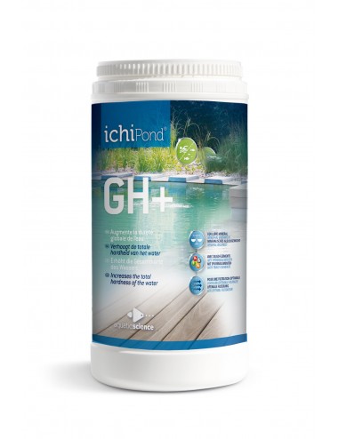 ICHIPOND - GH+ - 400g - GH...