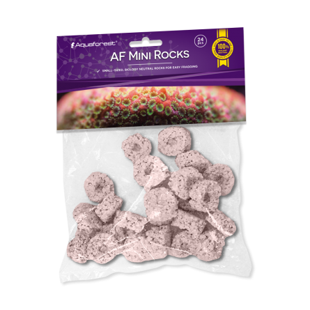 AQUAFOREST - AF Mini Rocks Purple - 24 uds - Rocas para esquejes de coral. AQUAFOREST - AF Mini Rocks Purple - 24 uds - Rocas para esquejes de coral.
