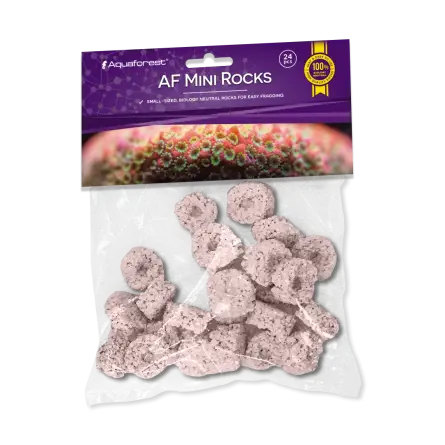 AQUAFOREST - AF Mini Rocks Roxo - 24 unid - Pedras para cortes de coral. AQUAFOREST - AF Mini Rocks Roxo - 24 unid - Pedras para cortes de coral.