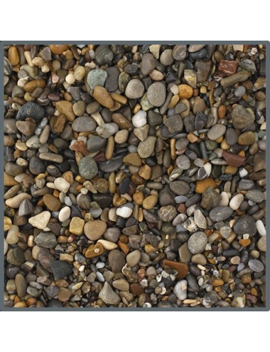 DUPLA - Ground nature Los...