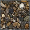 DUPLA - Ground nature River Pebbles 0/16mm - 5kg - Suelo natural para acuarios de agua dulce