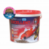 ICHIPOND - Excelente Medio 4/5mm - 1kg - Alimento premium para koi