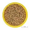 JBL - Pronovo Fantail Grano M - 100 ml - Gránulos para Velas Chinas