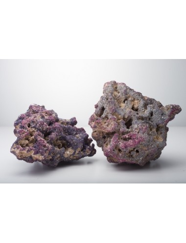 CARIBSEA - CaribSea Life Rock with Bacteria - 9.07kg