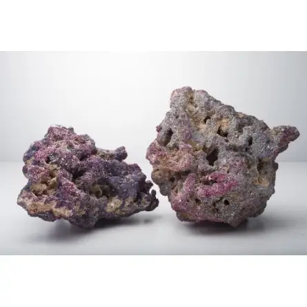 CARIBSEA - CaribSea Life Rock avec Bactéries - 9.07kg CARIBSEA - CaribSea Life Rock avec Bactéries - 9.07kg