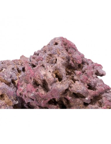 CARIBSEA - CaribSea Life Rock with Bacteria - 9.07kg