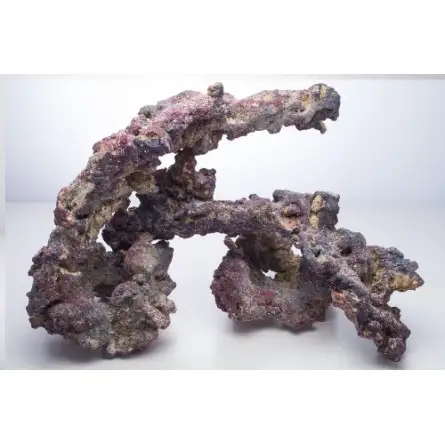 CARIBSEA - CaribSea Life Shapes con bacterias - 9,07 kg CARIBSEA - CaribSea Life Shapes con bacterias - 9,07 kg