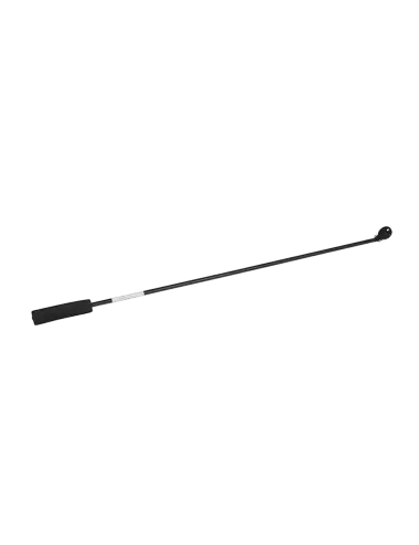 APOGEE - Wand for Apogee...