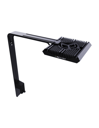 REEF FACTORY - Reef Flare...