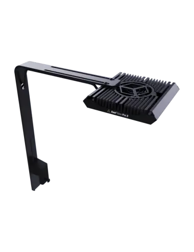 REEF FACTORY - Reef Flare...