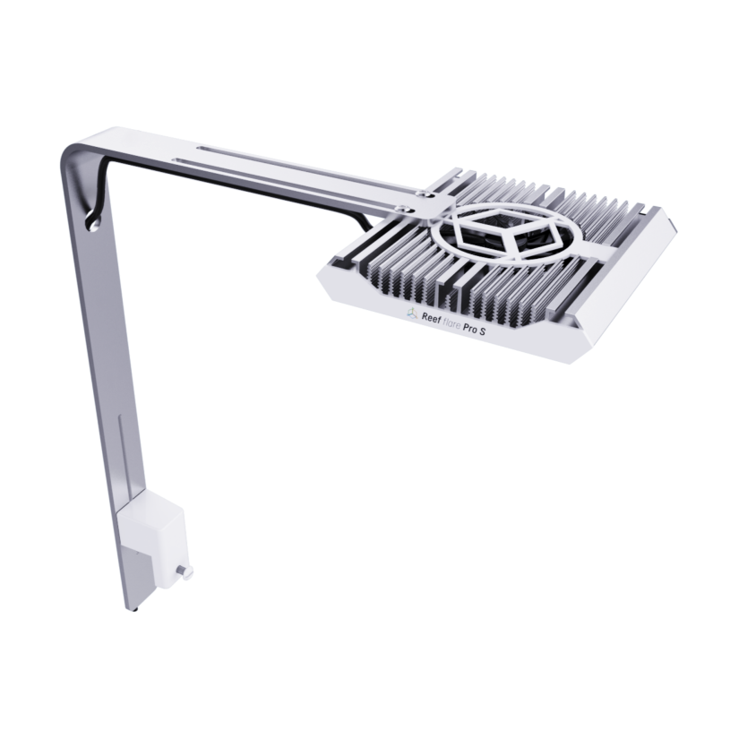 REEF FACTORY - Reef Flare Pro ARM S - Blanc - Support de fixation pour rampe