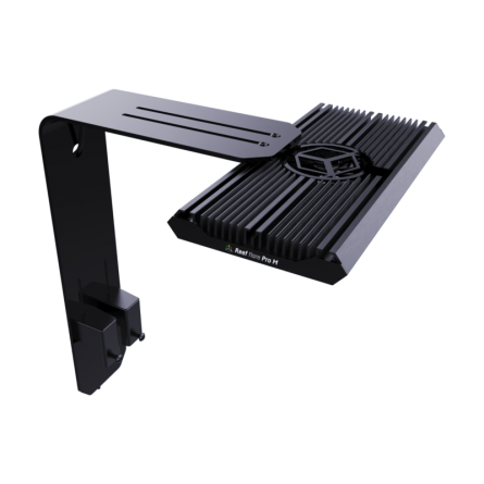 REEF FACTORY - Reef Flare Pro ARM M/L - Noir - Support de fixation pour rampe REEF FACTORY - Reef Flare Pro ARM M/L - Noir - Support de fixation pour rampe