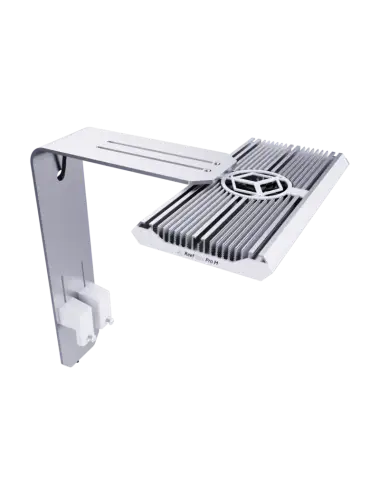 REEF FACTORY - Reef Flare...