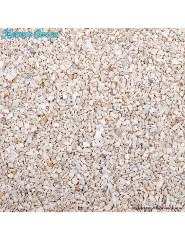 NATURE'S OCEAN - Aragonite...