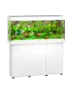 JUWEL - Rio 240 LED Blanc  - Aquarium tout équipé - Livraison gratuite