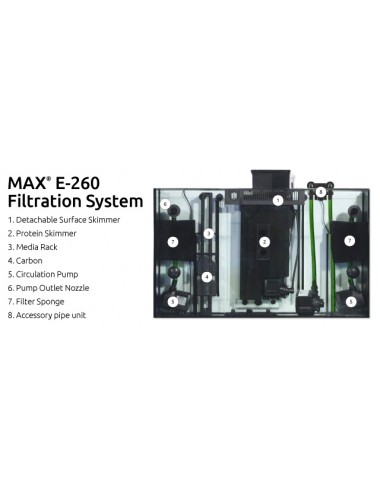 RDEČE MORJE - Goba za...