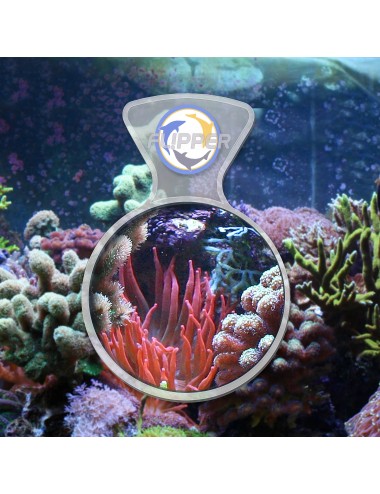 FLIPPER - DeepSee Magnified Magnetic Viewer 4 - Loupe aimantée pour aquarium