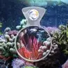 FLIPPER - DeepSee Magnified Magnetic Viewer 4