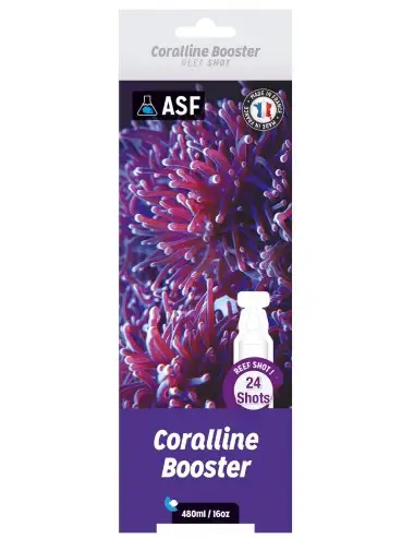 SISTEMI ACQUARIO - Reef...