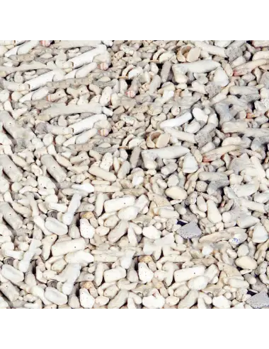 Zdrobljeni koralj - veličina 10-20 mm - Prodaje se na kilograme