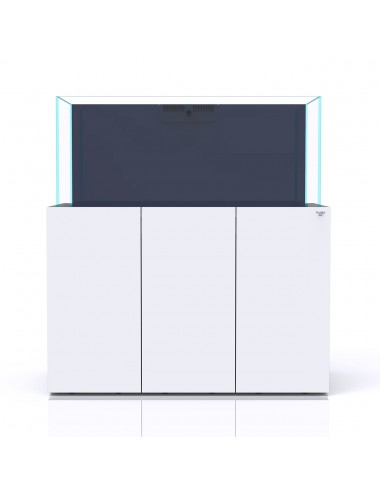 NYOS - Opus G2 440 - Pro...