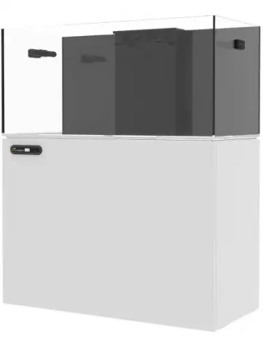 MAXSPECT - Smart Lagoon...