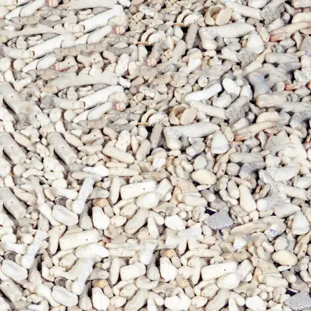 Zdrobljene korale - velikost 10-20 mm - Prodaja na kilograme Zdrobljene korale - velikost 10-20 mm - Prodaja na kilograme
