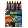 PRODIBIO - Bioptim - 6 ampoules - Solution nutritive pour bactéries