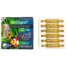 PRODIBIO BioDigest 30 ampoules
