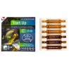 PRODIBIO Start Up 6 ampoules