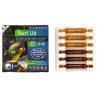 PRODIBIO Start Up 12 ampoules