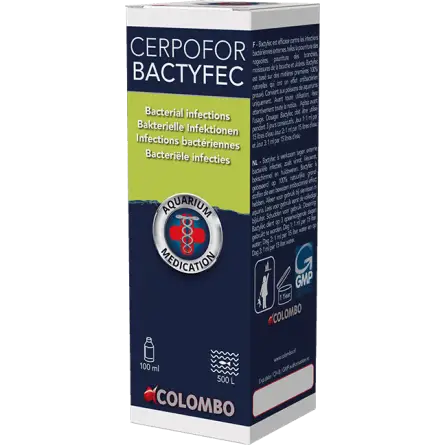 COLOMBO - Cerpofor Bactyfec - 100ml - Contre les infections bactériennes COLOMBO - Cerpofor Bactyfec - 100ml - Contre les infections bactériennes