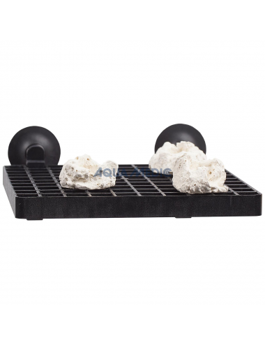 Support grid for coral cuttings with suction cups.