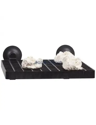 Support grid for coral cuttings with suction cups.