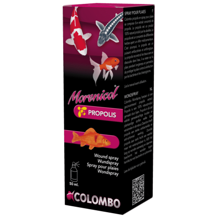 COLOMBO - Morenicol Propolis - 50ml - Soin des plaies des poissons COLOMBO - Morenicol Propolis - 50ml - Soin des plaies des poissons