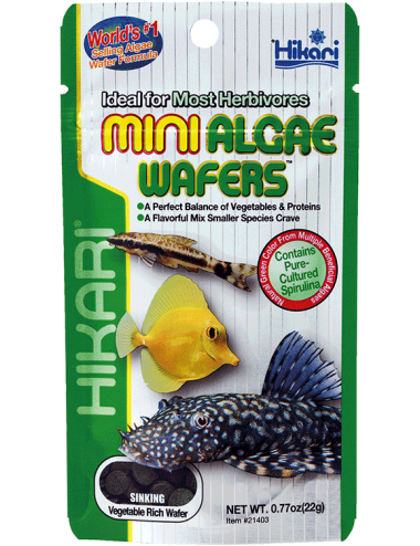 HIKARI - Mini Algae Wafers - 22g - Aliment coulant pour herbivore