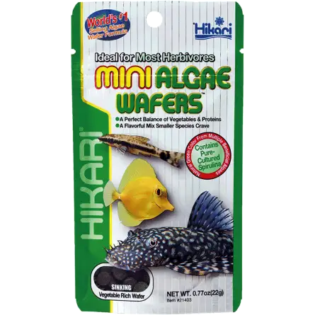 HIKARI - Mini Algae Wafers - 85g - Aliment coulant pour herbivore HIKARI - Mini Algae Wafers - 85g - Aliment coulant pour herbivore