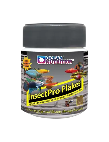 OCEAN NUTRITION -...