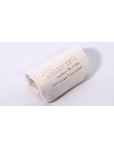 MAXSPECT – Professionelles Fensterputztuch